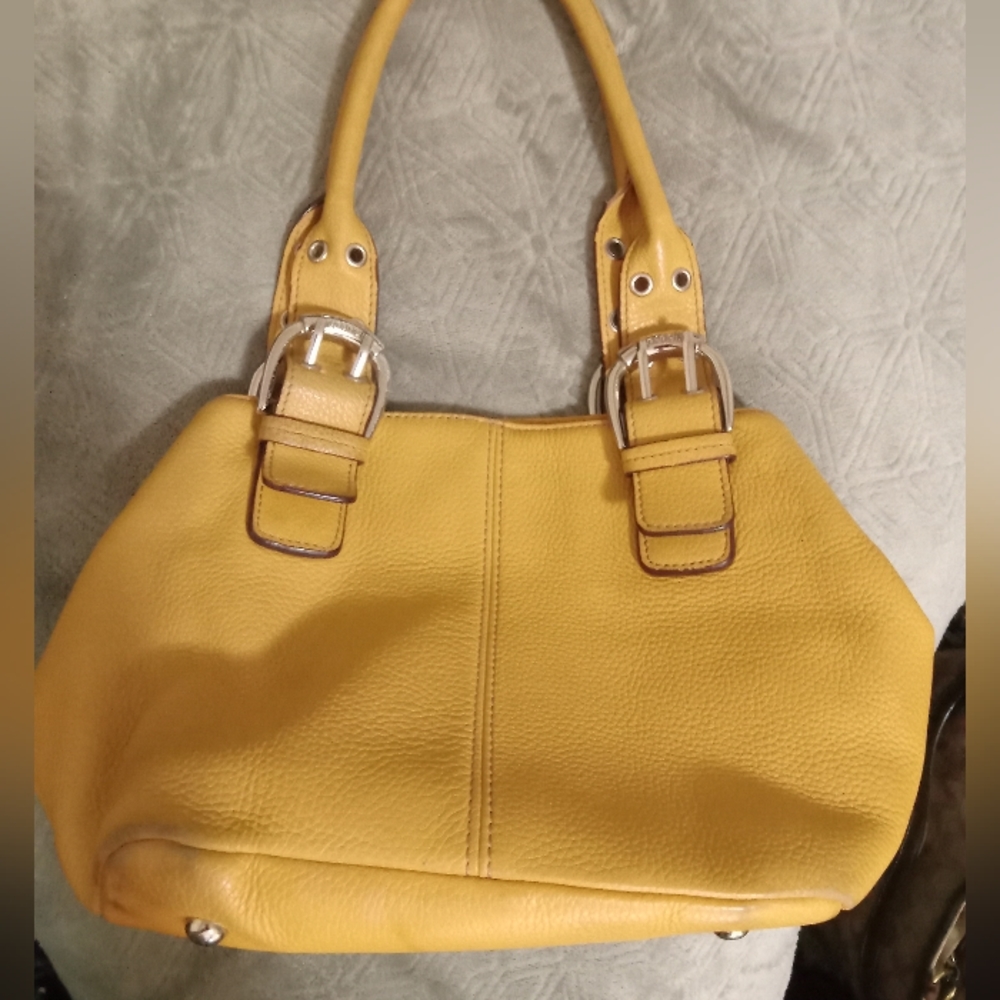 Tignanello gold leather purse